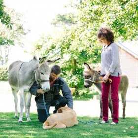 Ludovic, Laurence et les animaux