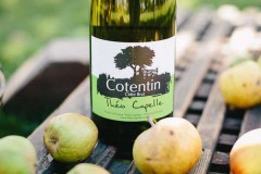 Cidre Cotentin