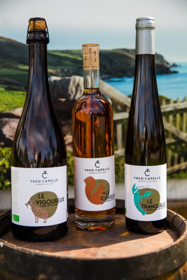 Bouteilles de cidre "Le Tranquille", "Le Curieux" et "Le Vigoureux" de la cidrerie Théo Capelle, sur un fût en bois.