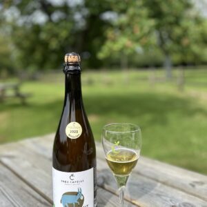 Bouteille de cidre Brut de la Cidrerie Théo Capelle, avec un verre, sur une table en bois, en plein air.
