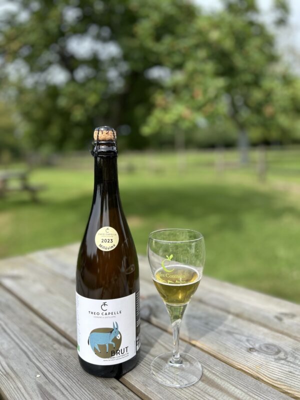 Bouteille de cidre Brut de la Cidrerie Théo Capelle, avec un verre, sur une table en bois, en plein air.