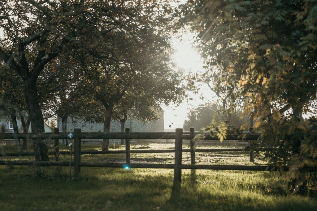 Paysage champêtre au lever du soleil, avec des arbres, une clôture en bois et une ambiance paisible.