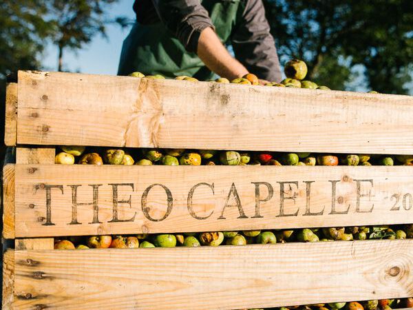 Caisse en bois contenant des pommes, marquée "Theo Capelle", à la cidrerie-distillerie en Normandie.