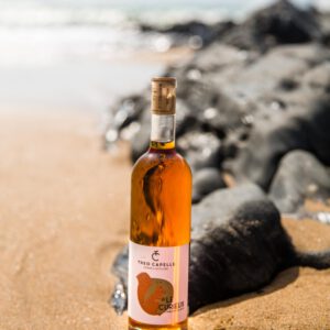 Bouteille de cidre "Le Curieux" de Théo Capelle sur une plage, mise en valeur par le sable et les rochers en arrière-plan.