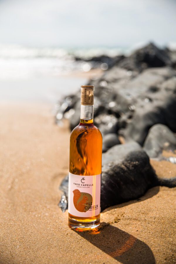 Bouteille de cidre "Le Curieux" de Théo Capelle sur une plage, mise en valeur par le sable et les rochers en arrière-plan.