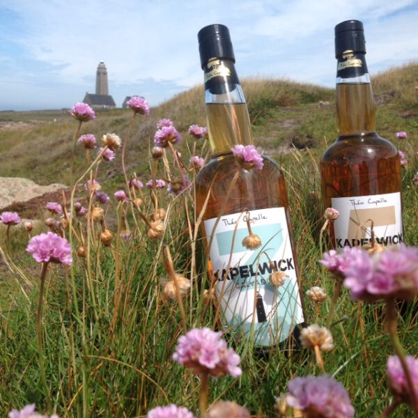 Bouteilles de Calvados AOC Théo Capelle entourées de fleurs dans un paysage côtier normand.