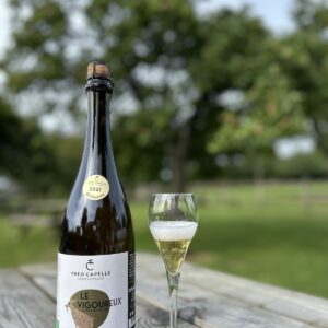 Bouteille de cidre pétillant "Le Vigoureux" de la Cidrerie Théo Capelle, accompagnée d'un verre sur une table en bois.