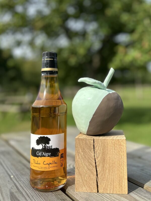 Bouteille de Cidr'Aigre Théo Capelle sur une table en bois, accompagnée d'une sculpture en forme de pomme.