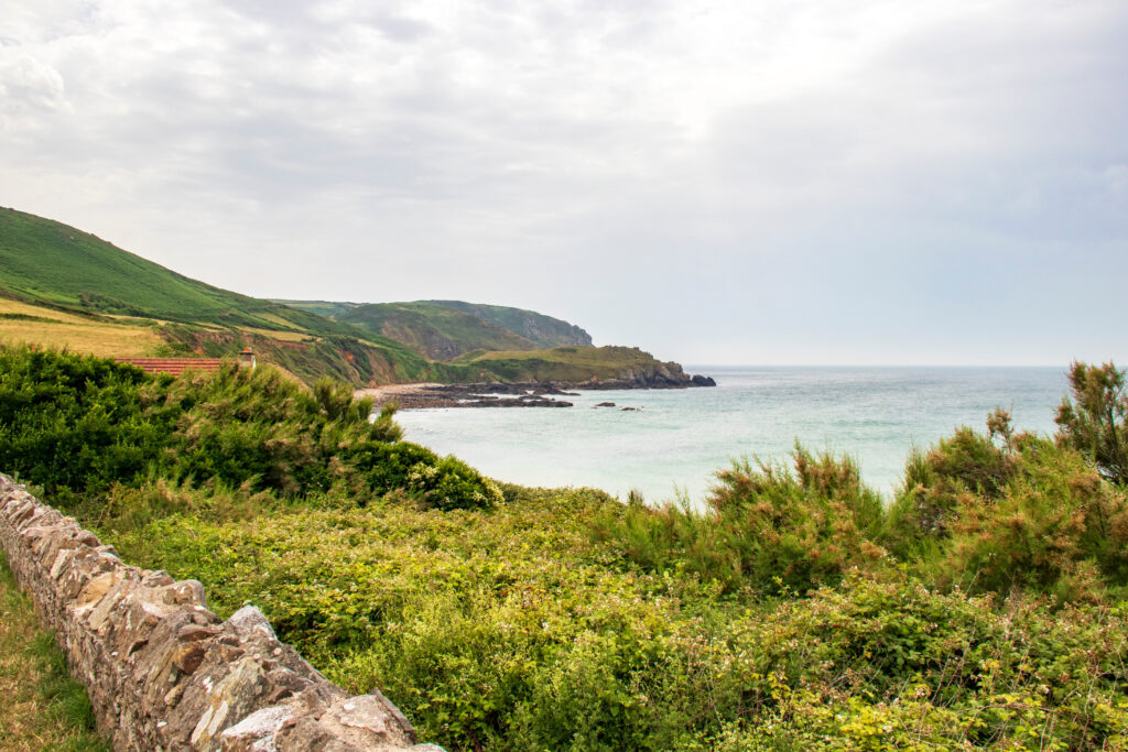 Panorama côtier du Cotentin avec verdure, falaises et mer calme sous un ciel nuageux.